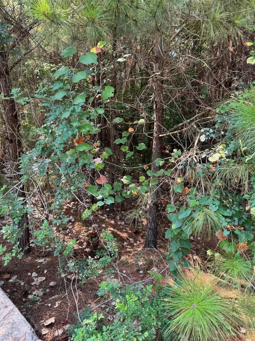 Photo of 131 Nakalele LN