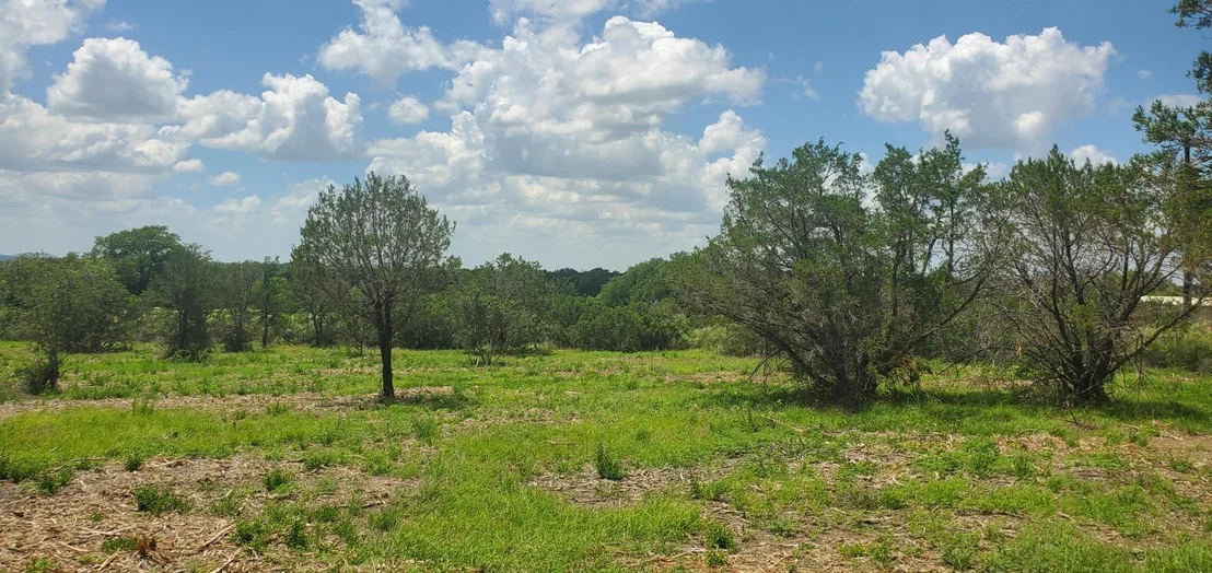 Photo of Tract 6 Lehne LOOP