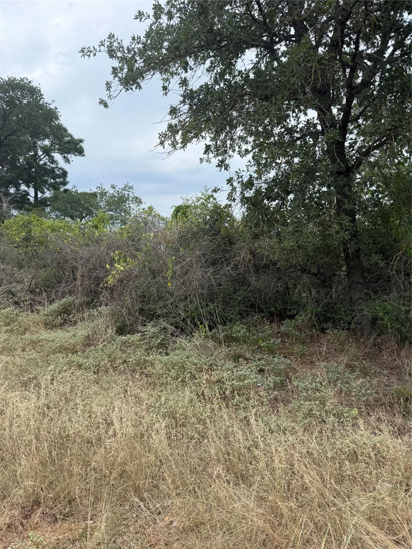 Photo of Lots 236 and 237 Kaelepulu LN