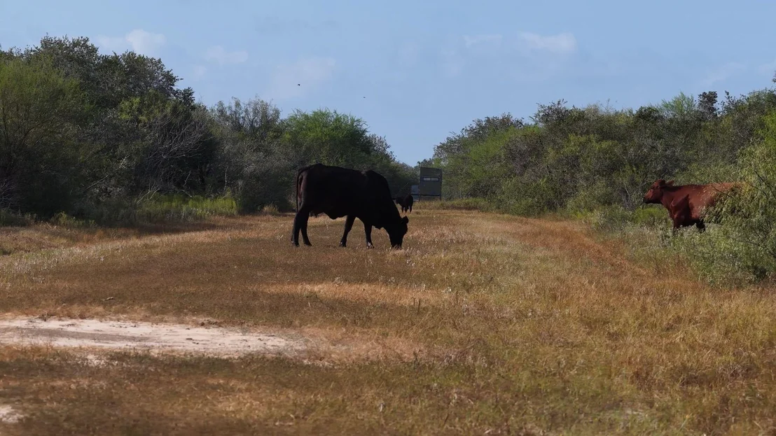 Photo of 251 Old Goliad RD