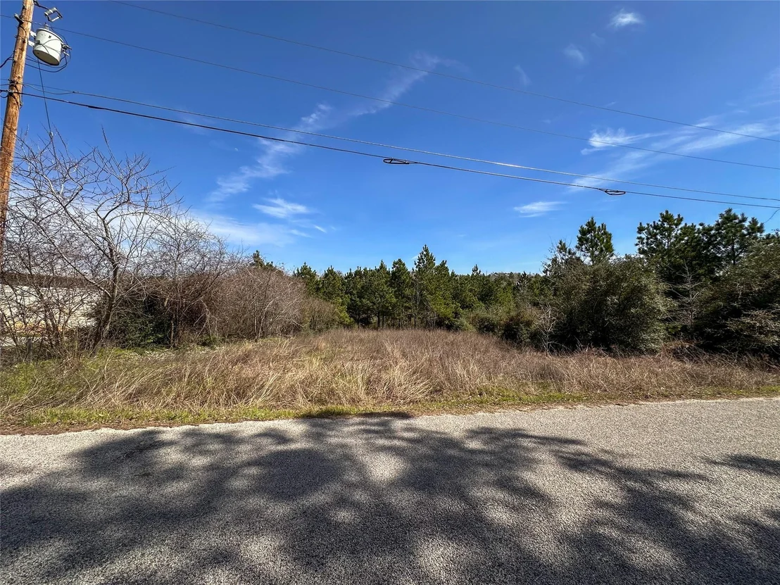 Photo of 161 Alele DR
