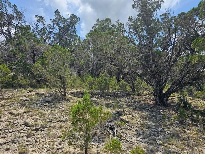 Photo of 4509 Outpost TRCE