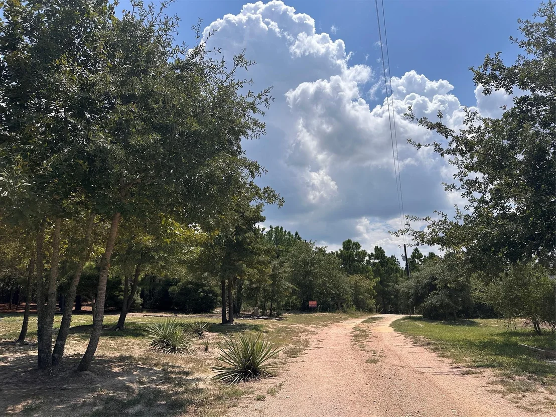 Photo of LOT 42 Hereford LN