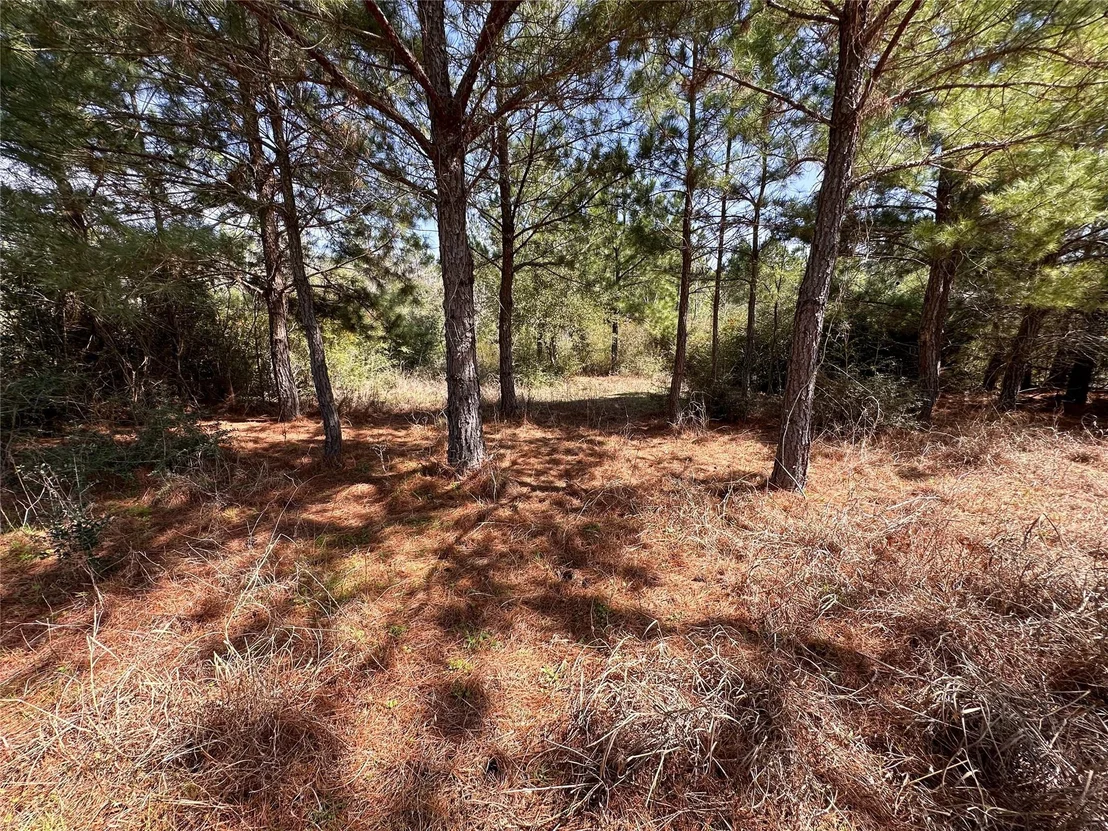 Photo of 161 Alele DR