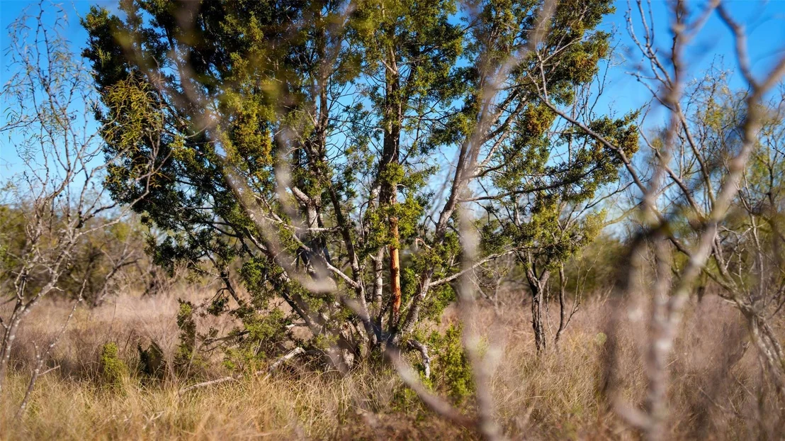 Photo of 532 County Road 468