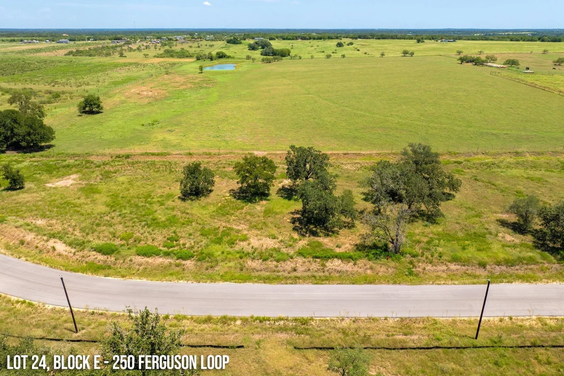 Photo of 250 Ferguson LOOP