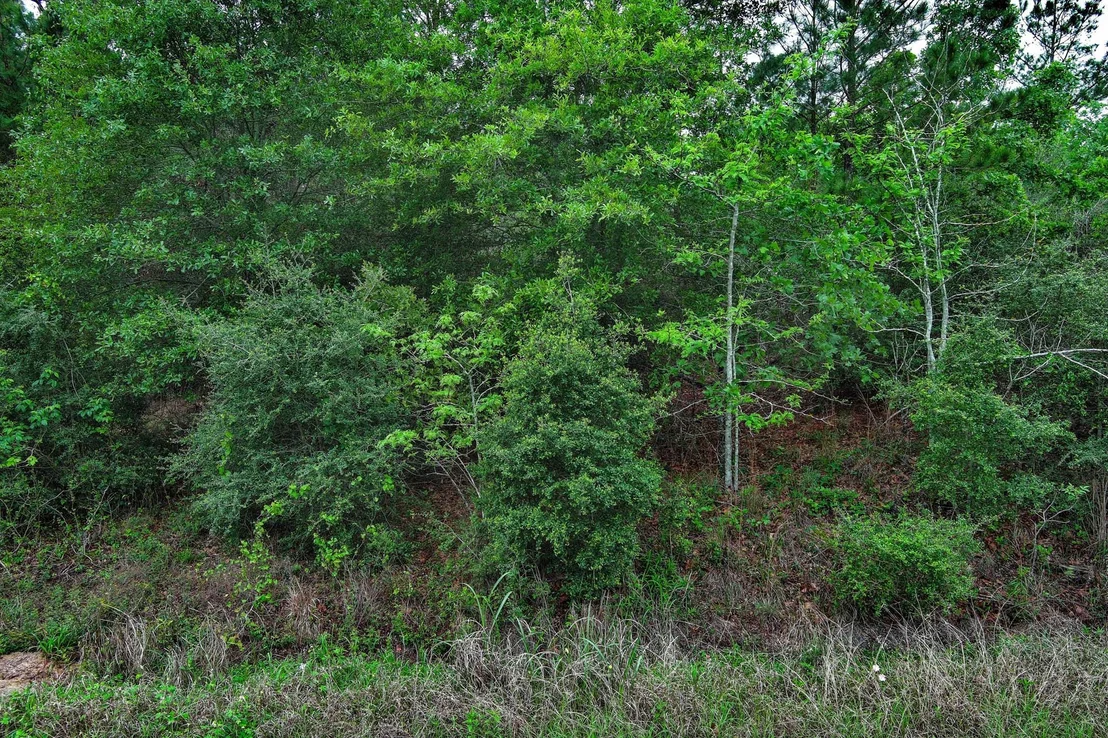 Photo of 453 Kelley RD