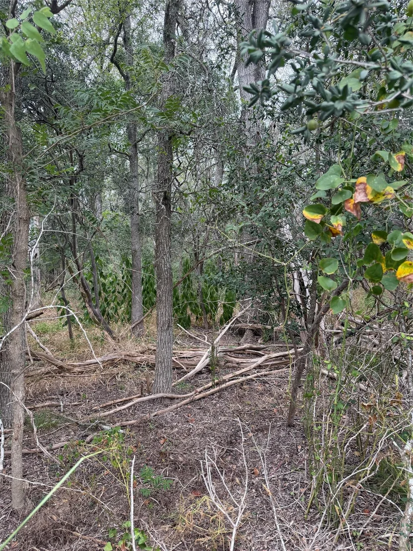 Photo of Lots 451, 452, 453 Heleakala DR