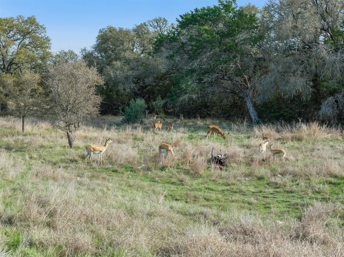 Photo of 8901 County Road 108