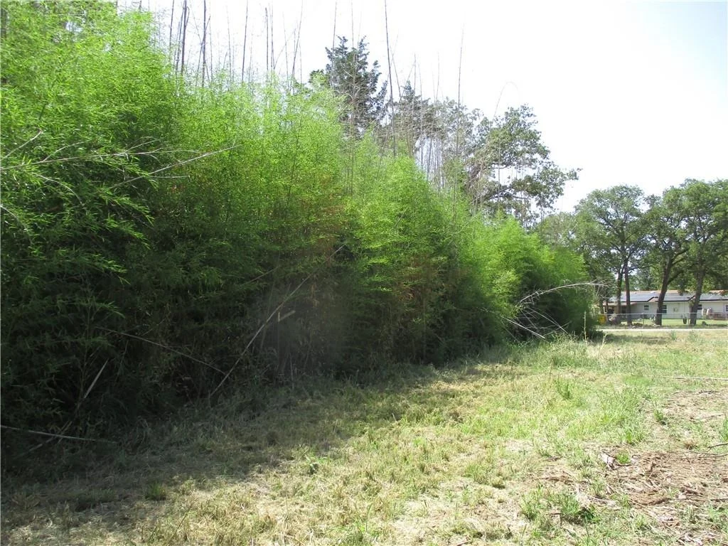 Photo of Lot 37 Moccasin Bend DR