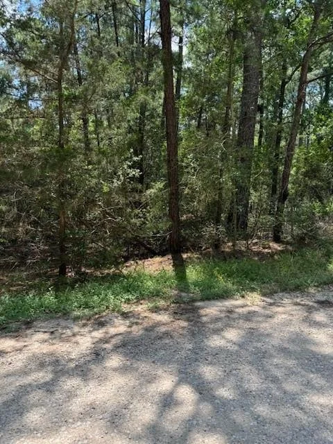 Photo of Lot 250 Hekili DR