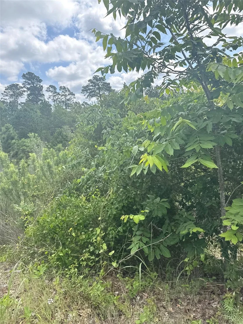 Photo of Lot 798 Tahitian DR