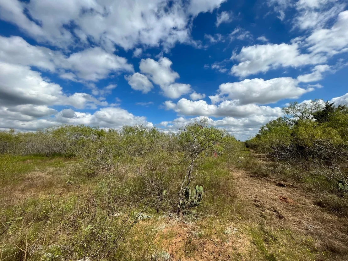 Photo of 775_LOT 4 Thompson RD