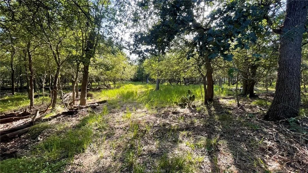 Photo of 750 County Rd 206A (15.5 Acres)
