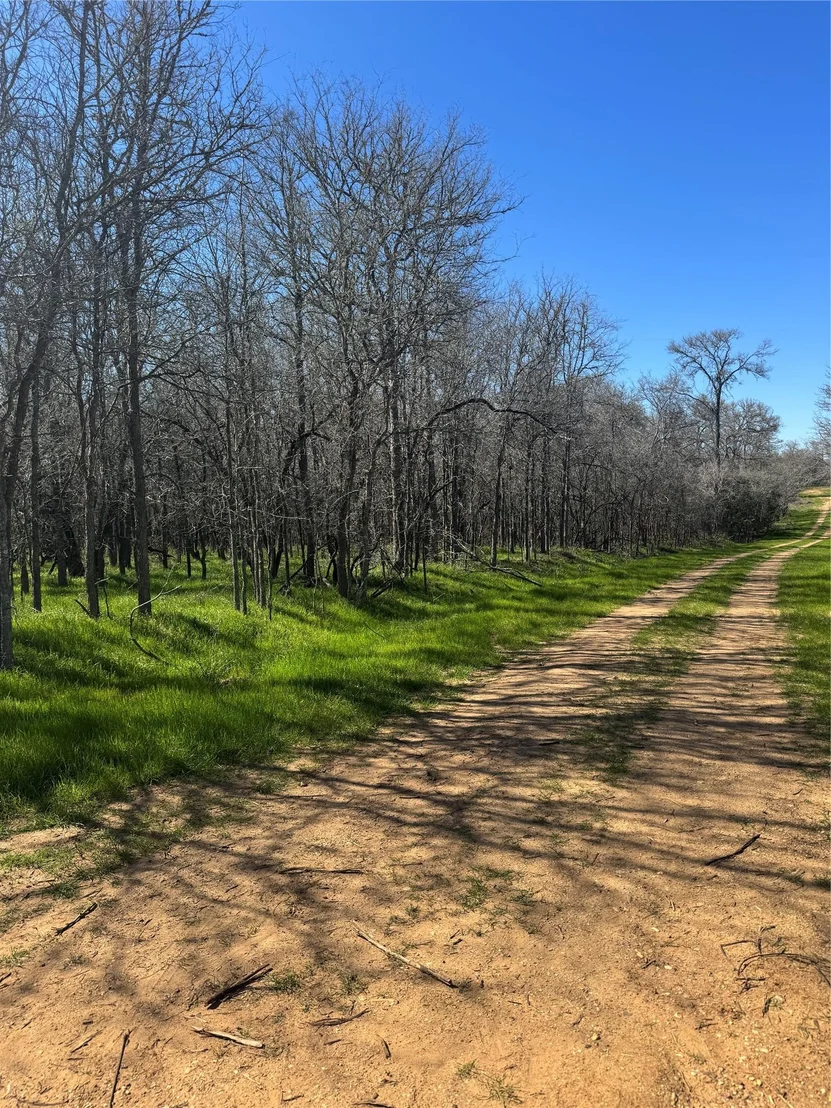 Photo of Lot 500 Kaaawa LN