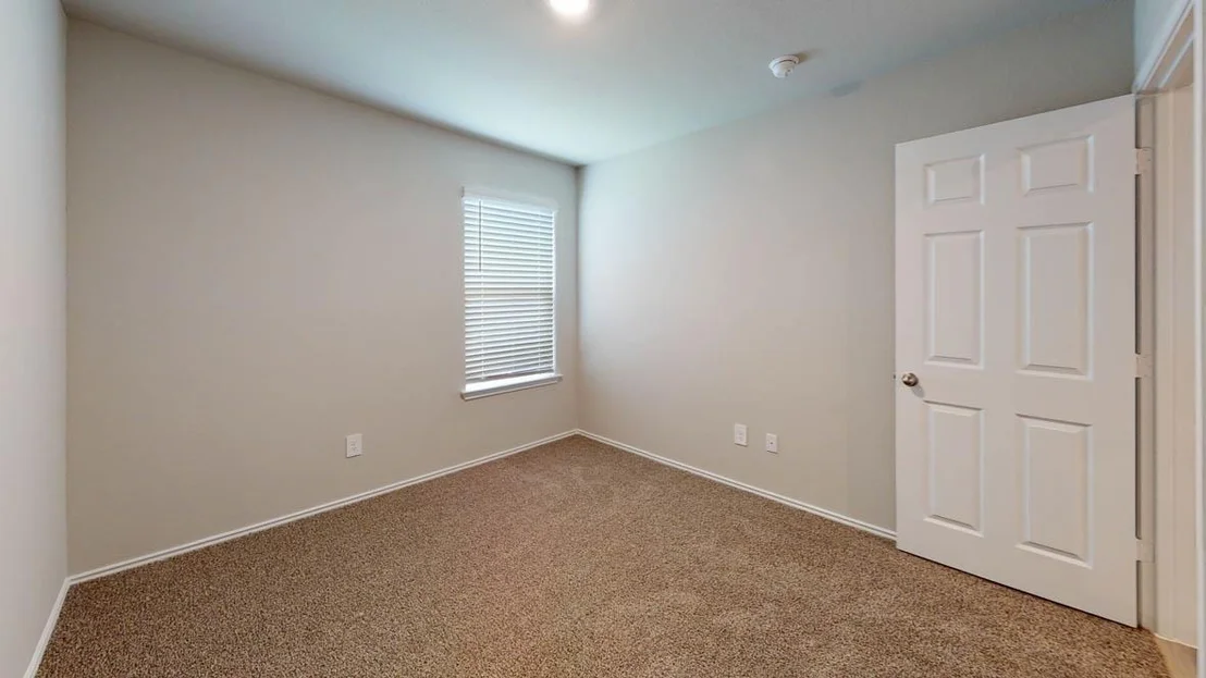 Photo of 561 Hector LOOP