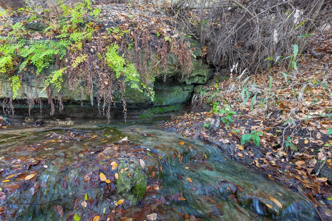 Photo of 000 River RUN