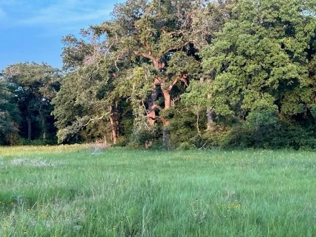 Photo of 360 Perry LN