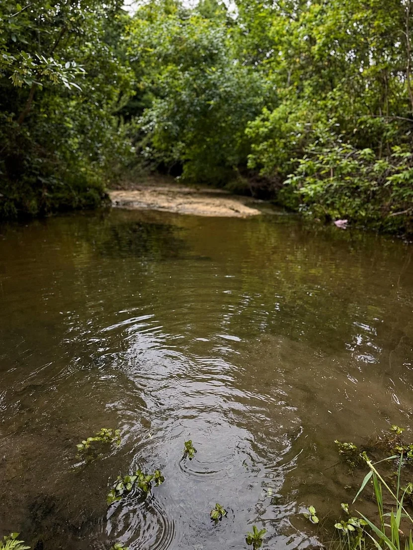 Photo of 705 Hereford LOOP