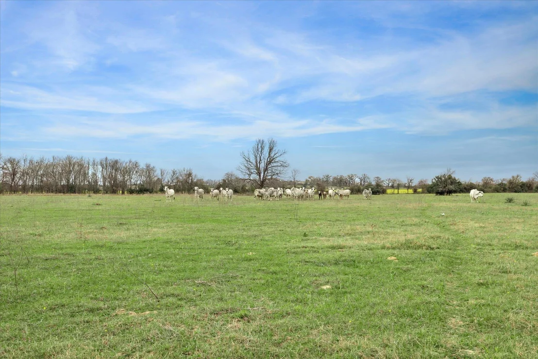 Photo of 7281 County Road 358 RD