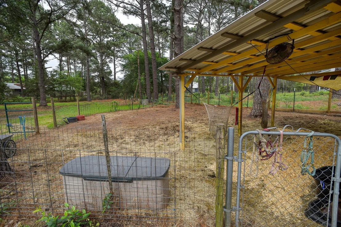 Photo of 121 Pony Grass LN