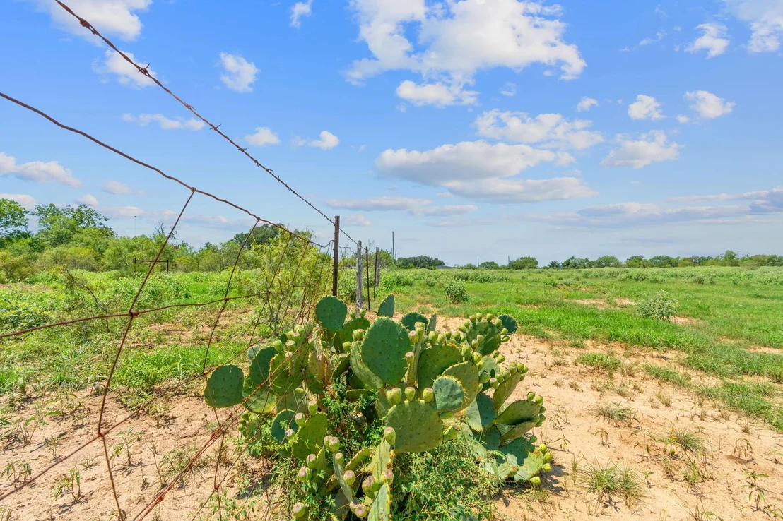 Photo of LOT 8 County Road 280
