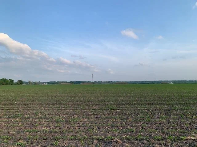 Photo of Tract 3 County Road 425