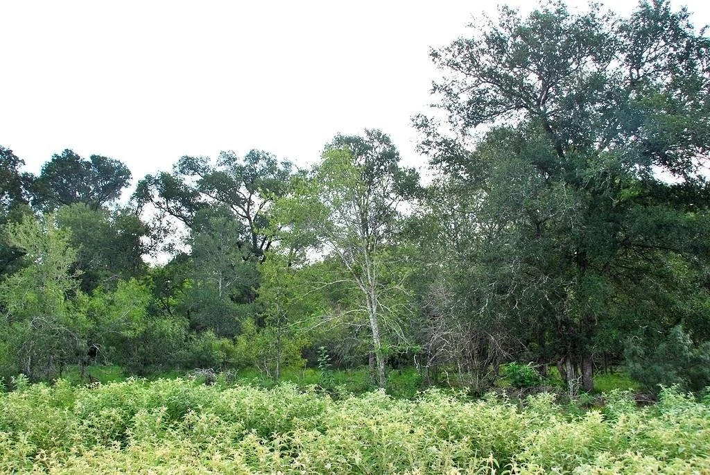 Photo of 9590 Maynard Hallmark RD