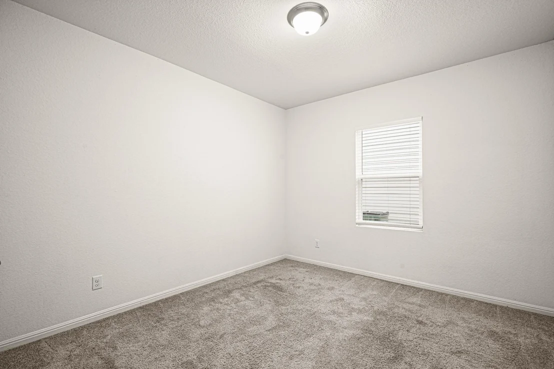 Photo of 109 Gray Fox LOOP