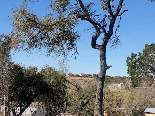 Photo of 6218 Big Horn CIR