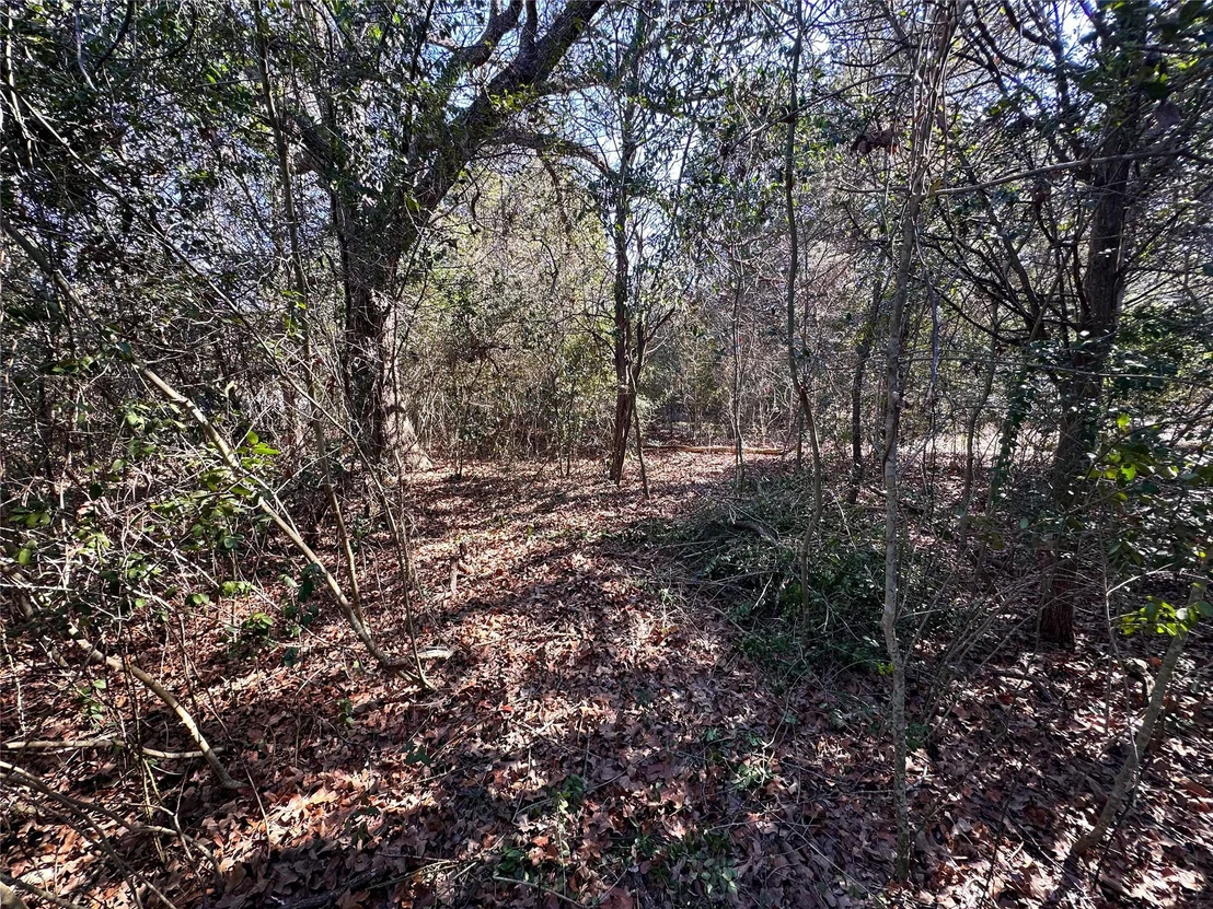 Photo of LOT 14 Alta Vista DR