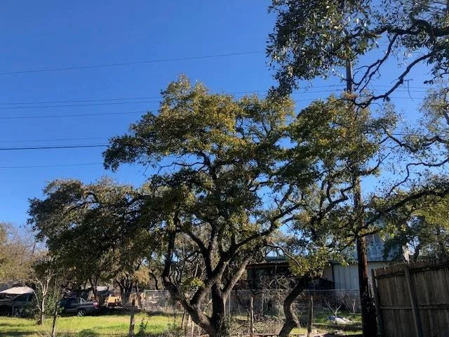 Photo of 6218 Big Horn CIR