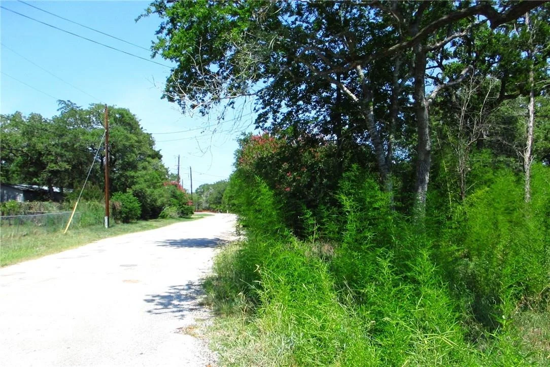 Photo of Lot 37 Moccasin Bend DR