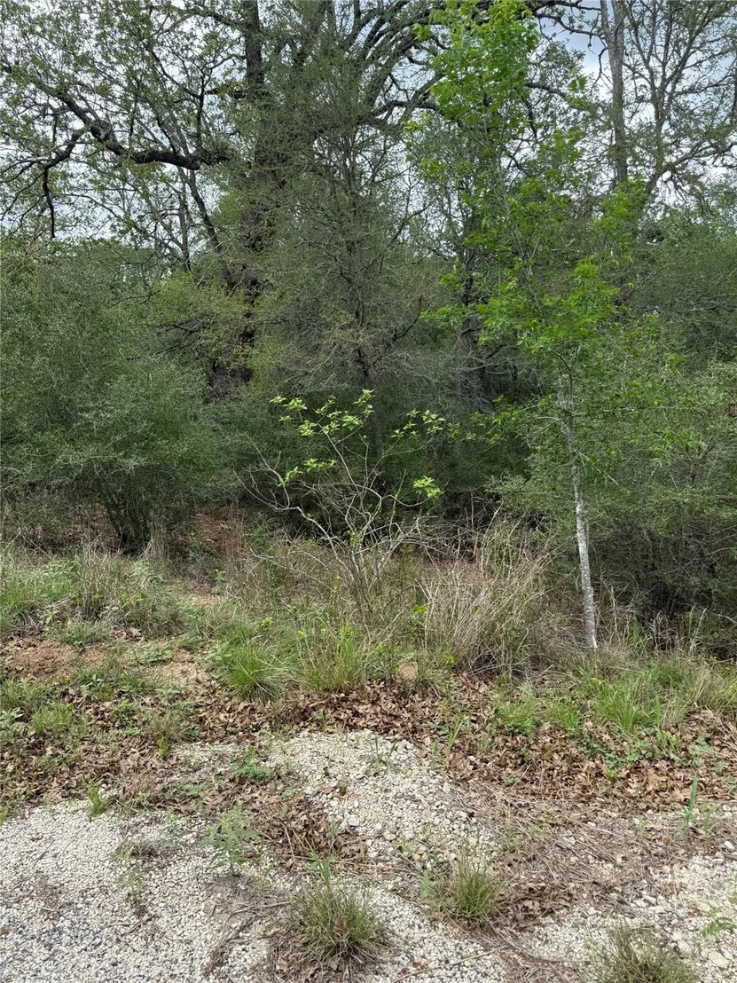 Photo of lot 69 Kaelepulu DR