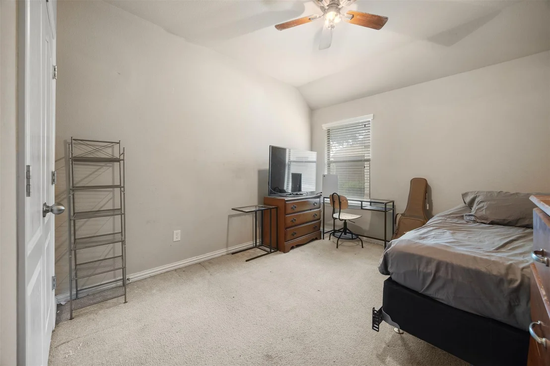 Photo of 258 Snow Owl HOLW
