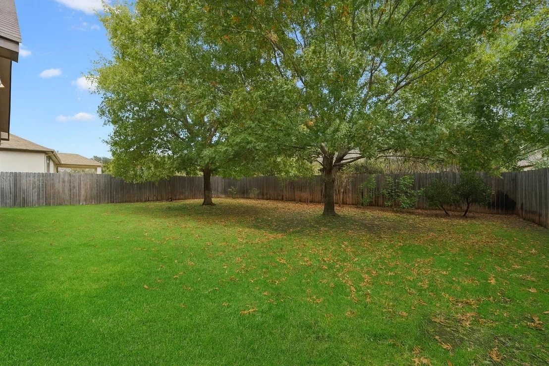 Photo of 228 Camperdown Elm DR