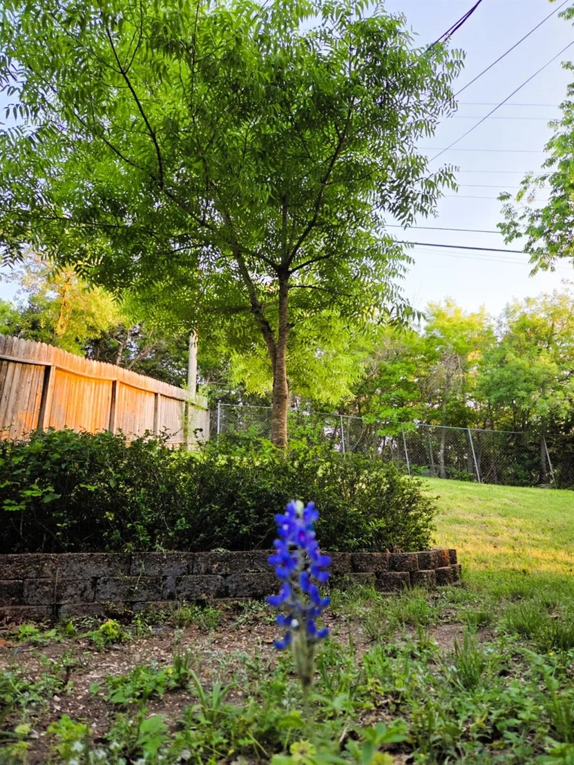Photo of 1202 Bowen Ave