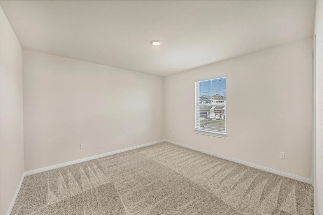 Photo of 90 Snowy Plover LN