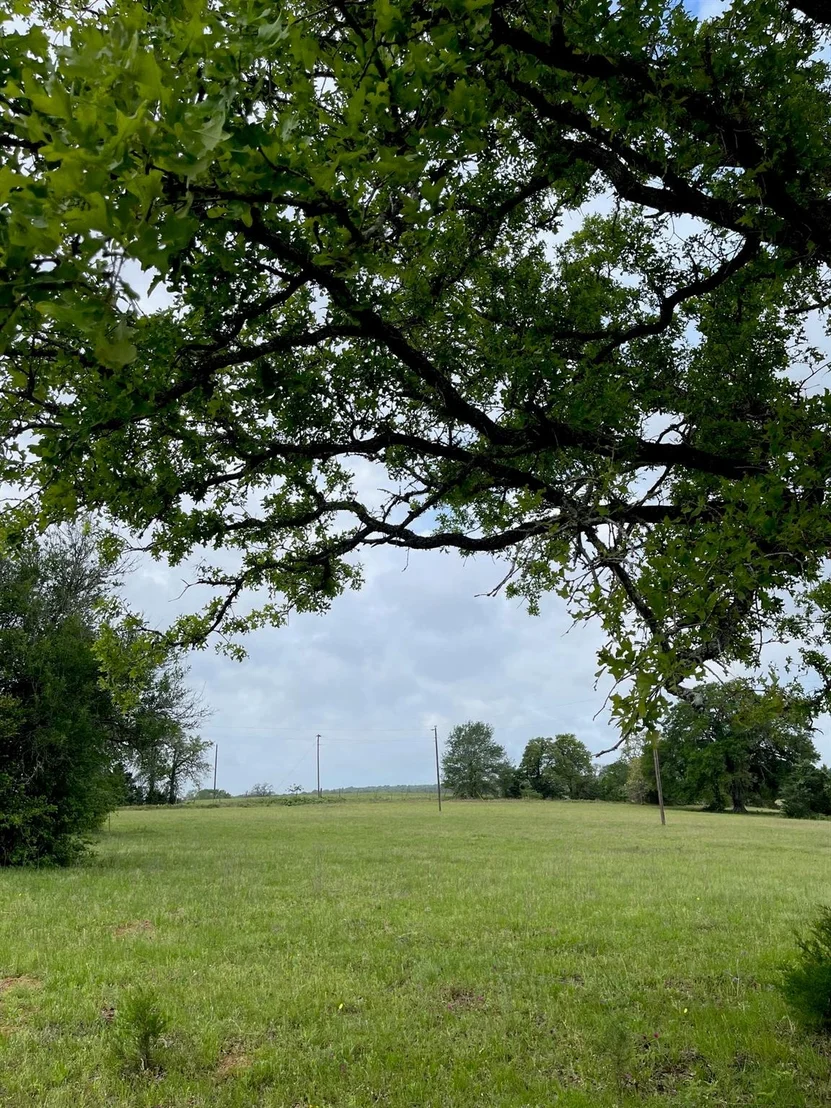 Photo of 4514 County Road 328