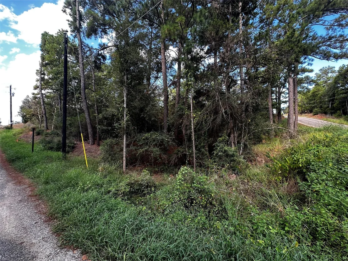 Photo of 145 Lamaloa DR