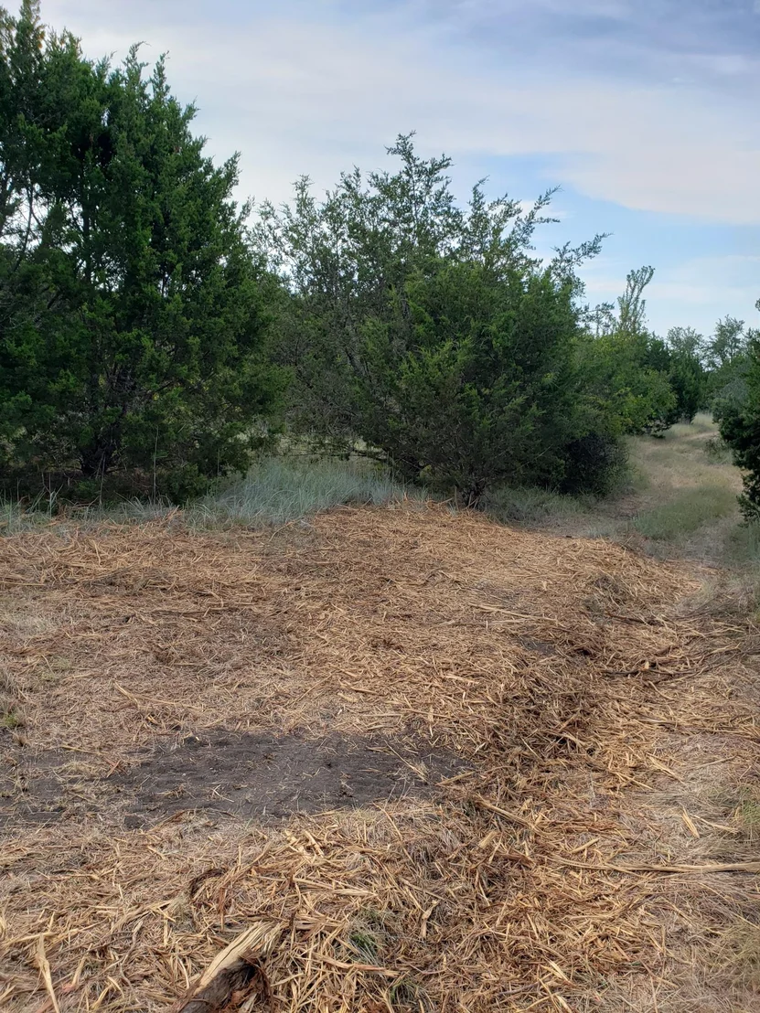 Photo of Lot 44 County Road 3640