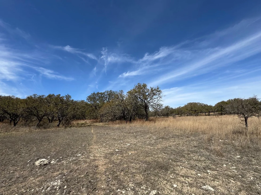 Photo of Lot 47 Eland LN