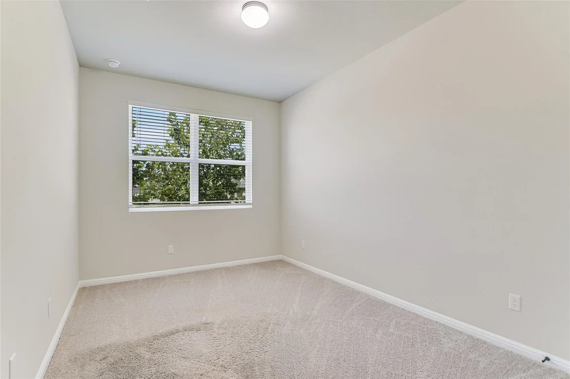 Photo of 1003 Gray Fox LOOP