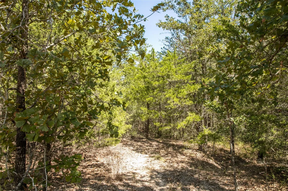 Photo of TBD FM 180