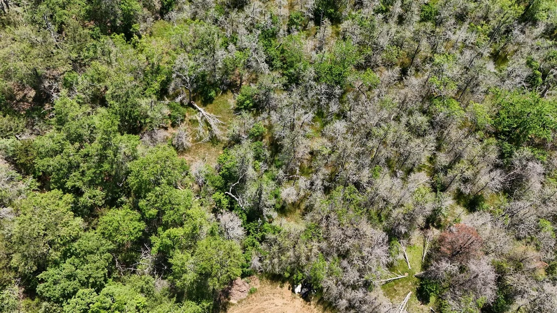 Photo of 237 Mokulua LN
