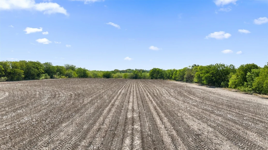 Photo of Dairy Rd