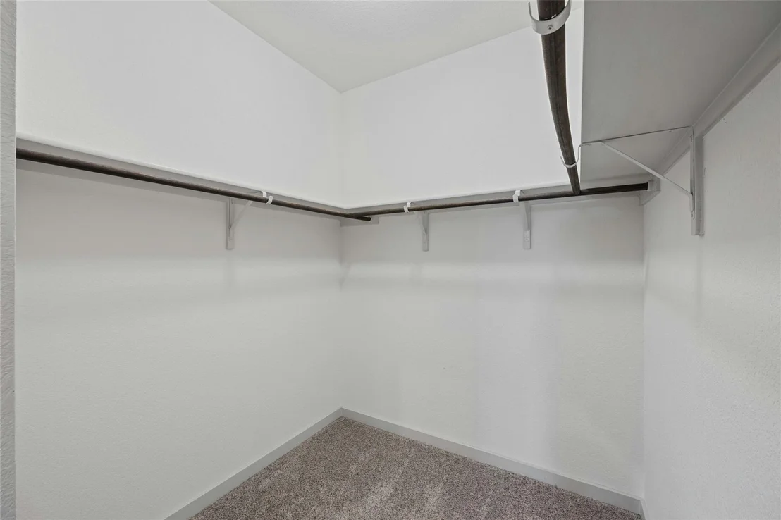 Photo of 141 Parryi CV