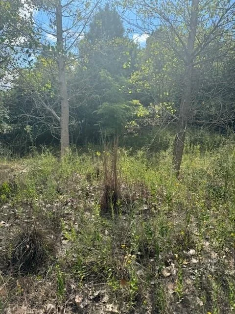 Photo of Lots 1338 and 1339 Tahitian DR