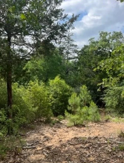 Photo of Lot 1114 KAOHIKAIPU DR