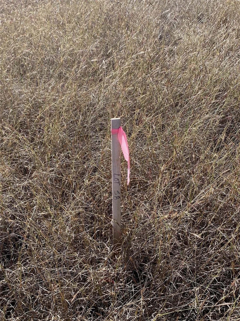 Photo of 304 Lightning Ranch PT